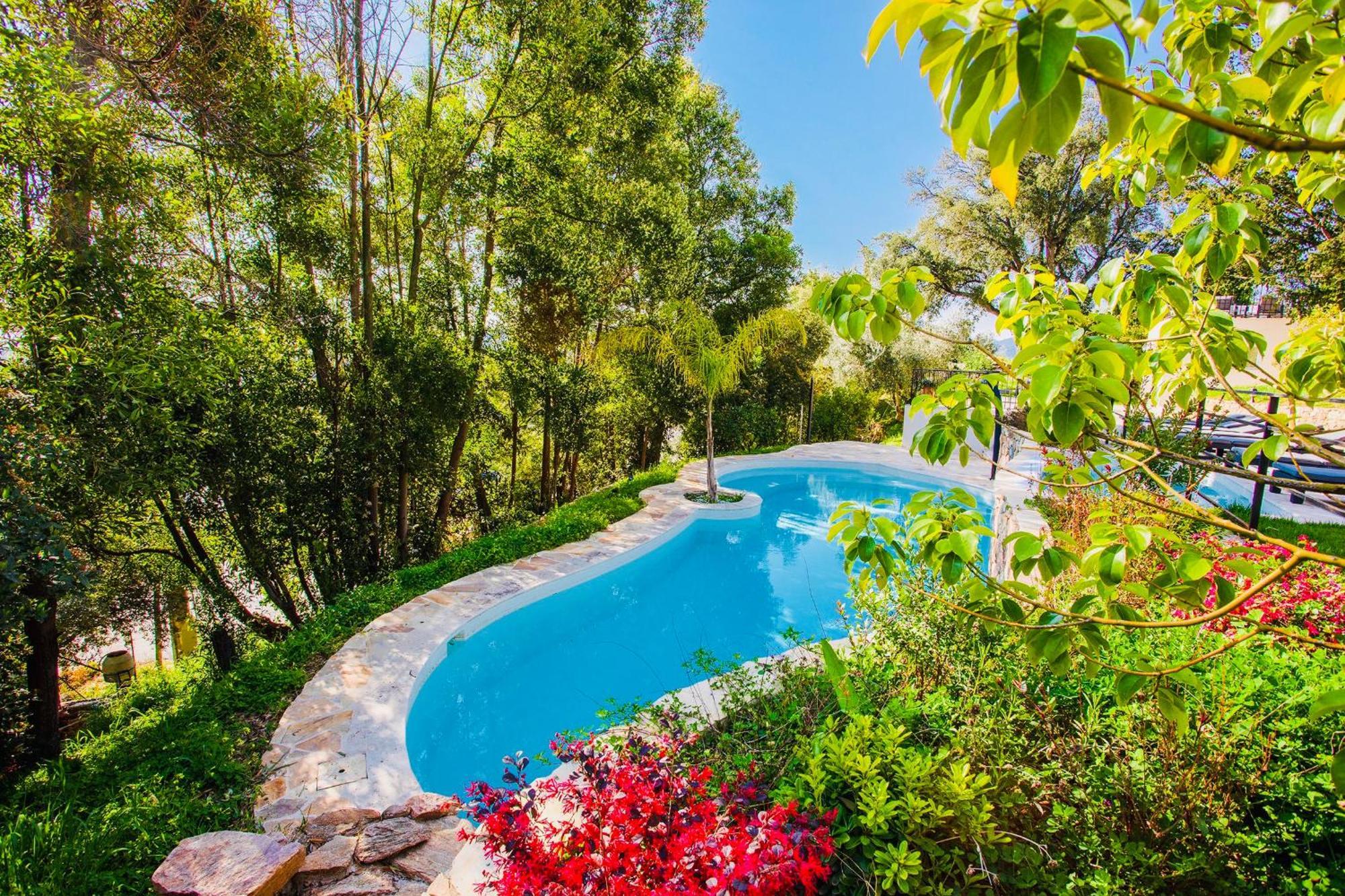 Villa Les Roches Mandelieu Εξωτερικό φωτογραφία
